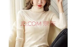 梦之旅2中文版下载